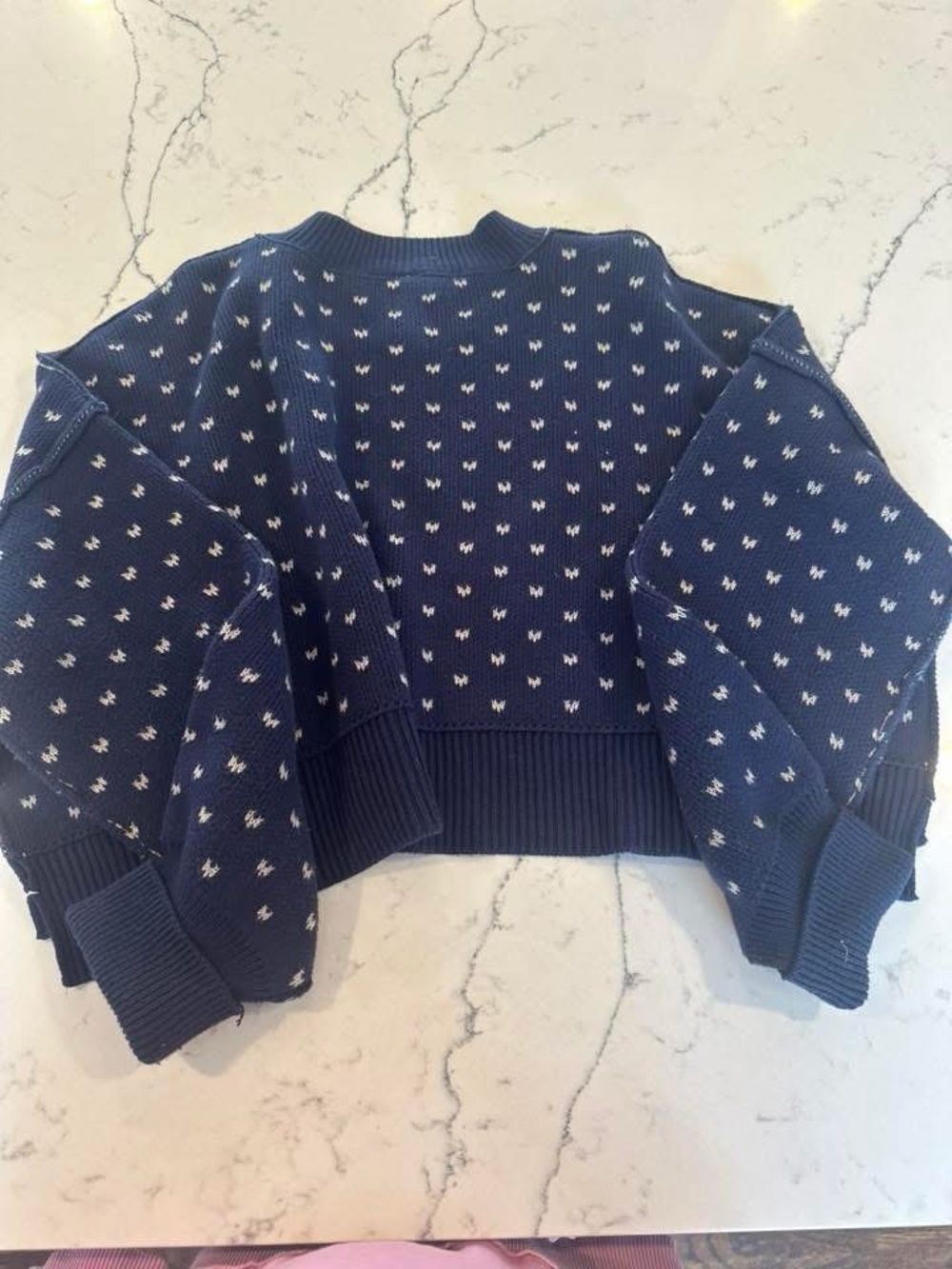 Free People Navy Crewneck Sweater with White Micro Pattern